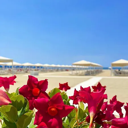 Carli In Centro A Dei Marmi * Forte dei Marmi